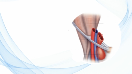 blog-region-y-hernia-femoral