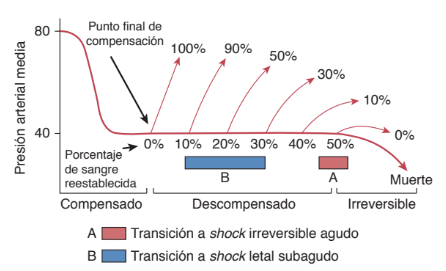 estado-de-shock