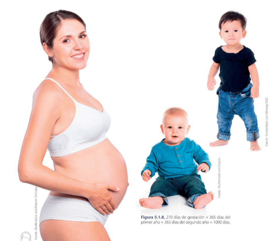 atencion-odontologica-prenatal